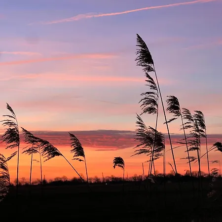 Kastanienhof Appartement *